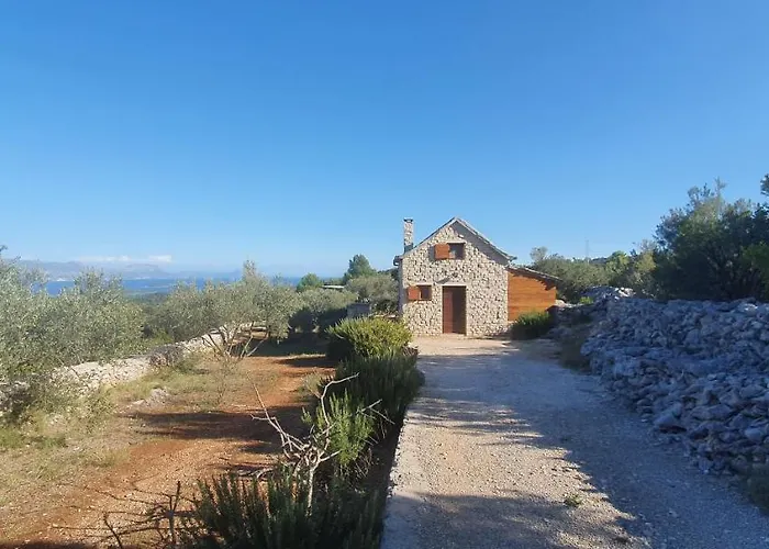 Vacation Home Friday